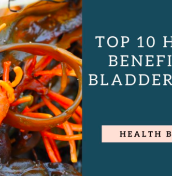 10 Benefits of Bladderwrack – Heal and Cleanse Your Body With Bladderwrack