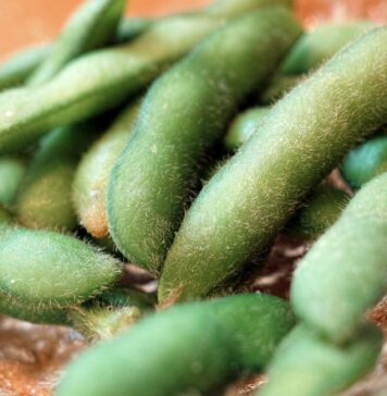 Can Soy Prevent and Treat Prostate Cancer? | Nutrition Fit