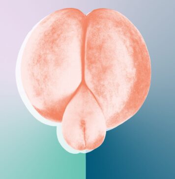 I Tried a Butt Plug I Tried a Butt Plug