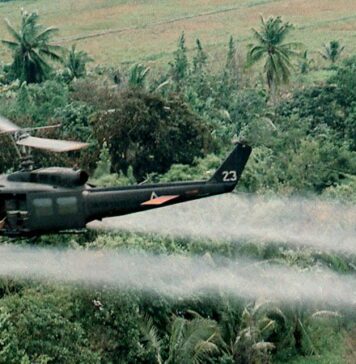 Agent Orange Tied to Increased Dementia Risk in Vietnam Vets | Nutrition Fit