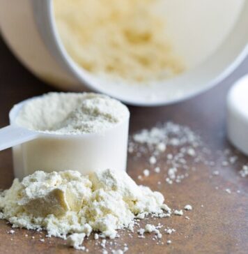 The Best Protein Powders of 2021 | Nutrition Fit