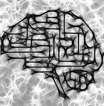 Can Large Fluid-Filled Spaces in the Brain Help Identify Those at Risk of Dementia? | Nutrition Fit