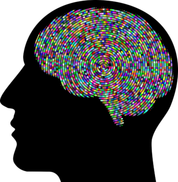 Abnormal Hyperactivation in the Brain May Be an Early Sign of Alzheimer’s | Nutrition Fit
