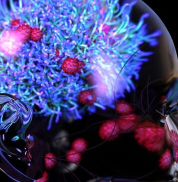 COVID-19 Attack On Brain, Not Lungs, Triggers Severe Disease In Mice | Nutrition Fit