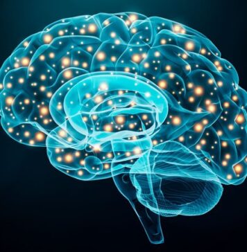 Personalized Brain Stimulation May Reduce OCD Behaviors | Nutrition Fit