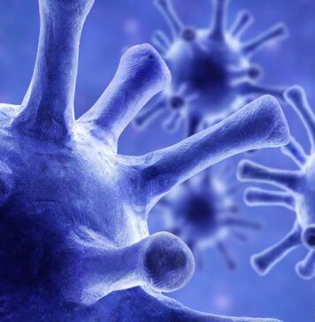 California’s Own COVID-19 Variant Raises New Fears | Nutrition Fit