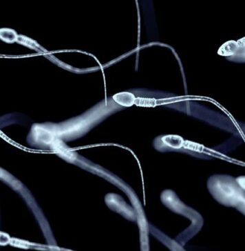 COVID-19 Could Damage Sperm, but Experts Query Results | Nutrition Fit
