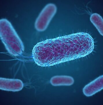 Specific Bacteria in the Gut Prompt Mother Mice to Neglect Their Pups | Nutrition Fit
