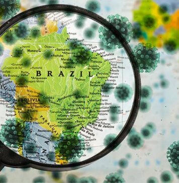First Case of Brazilian Variant in the U.S. Found in Minnesota | Nutrition Fit