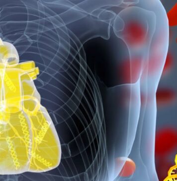 ‘Liquid Biopsy’ Detects Acute Heart Transplant Rejection | Nutrition Fit