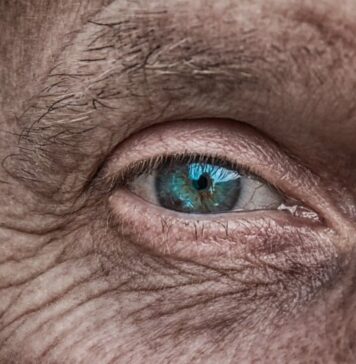 Eye Tests Predict Parkinson’s-Linked Cognitive Decline 18 Months Ahead | Nutrition Fit