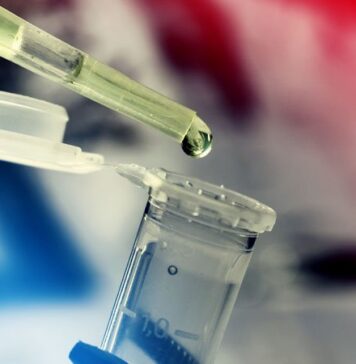 Stem Cell Transplant Shows Long-term Benefit in MS | Nutrition Fit