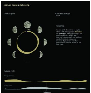 On Nights Before a Full Moon, People Go to Bed Later and Sleep Less | Nutrition Fit