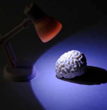 Lack of Sleep and Stress Can Lead to Symptoms Resembling Concussion | Nutrition Fit
