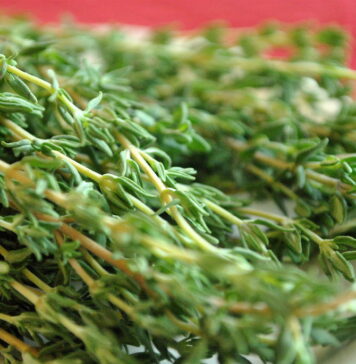 It’s Thyme for a New Coronavirus Weapon | Nutrition Fit