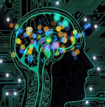 Artificial Intelligence Can Predict Death Risk | Nutrition Fit