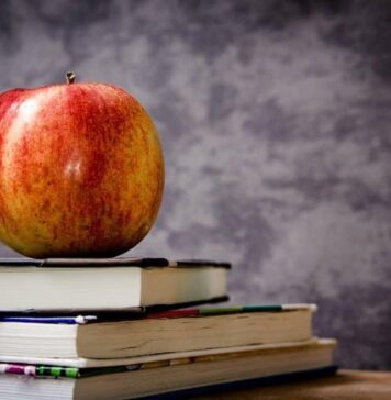 Compounds From Apples May Boost Brain Function | Nutrition Fit