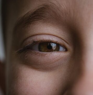 Artificial ‘Brain’ Reveals Why We Can’t Always Believe Our Eyes | Nutrition Fit