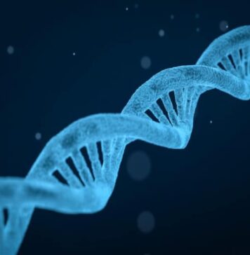‘Hidden Biological Link’ Among Autism Genes Revealed | Nutrition Fit
