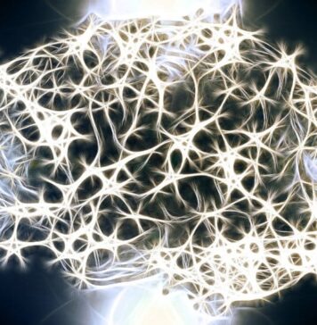 Astrocytes May Be Linked to Stuttering | Nutrition Fit