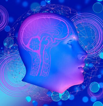 Bile Acids May Play Previously Unknown Role in Parkinson’s | Nutrition Fit