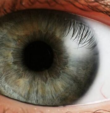 Visual Hallucinations Among Blind People Increase During Pandemic | Nutrition Fit