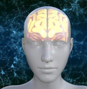 Brain Tumor Study Reveals Surprising Gene Deletion and Method to Overcome Drug Resistance | Nutrition Fit