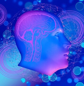 How the ‘Noise’ in Our Brain Influences Our Behavior | Nutrition Fit