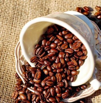 Regular Caffeine Consumption Affects Brain Structure | Nutrition Fit