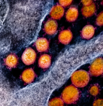 As Variant Infections Rise, So Do Concerns | Nutrition Fit