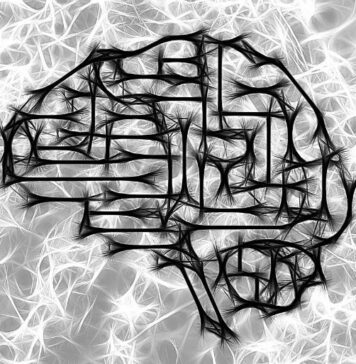 Tiny Population of Neurons May Have Big Role in Depression | Nutrition Fit