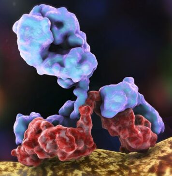 Rollout of COVID Monoclonal Antibodies Lacked Joint Plan: Experts | Nutrition Fit