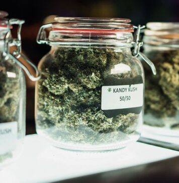 Opioid-Related Deaths Lower in Counties With Cannabis Dispensaries | Nutrition Fit