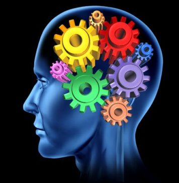 Cognitive Effects Transient for Alzheimer’s Drug Atabecestat | Nutrition Fit