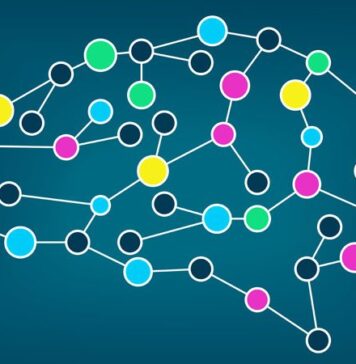 Brain Connectivity Patterns Reliably Identify ADHD | Nutrition Fit