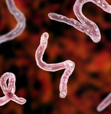 Can Gut Parasites Slow the Aging Process? | Nutrition Fit