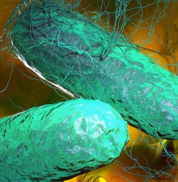 CDC Warns of Drug-Resistant Typhoid Fever Outbreak | Nutrition Fit