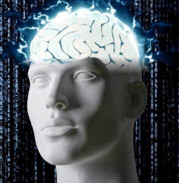 Early-Warning for Seizures Could Be a Game-Changer for Epilepsy Patients | Nutrition Fit