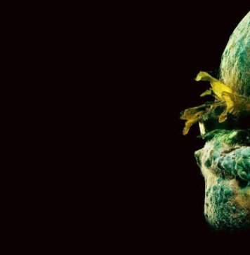 Once Bitten, Twice Shy: What Happens in the Brain When We Have Bad Experiences With Food | Nutrition Fit