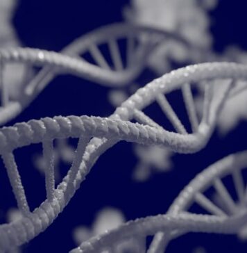 Unraveling the Mystery of Gao, a Protein Implicated in Movement Disorders | Nutrition Fit