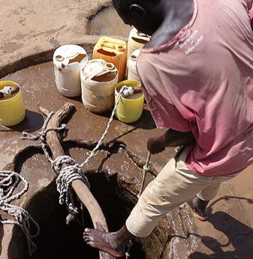 An X-ray Like a Christmas Tree: One Refugee’s Mysterious Case | Nutrition Fit