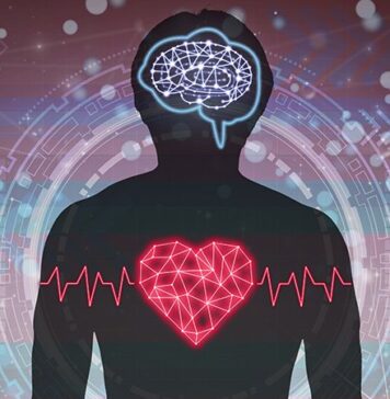 Imaging Links Stress Brain Activity and Plaque Instability in AMI | Nutrition Fit