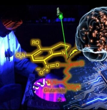 How Light Could Activate Neurons | Nutrition Fit