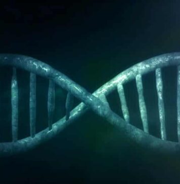 A Sleep Disorder Associated With Shift Work May Affect Gene Function | Nutrition Fit