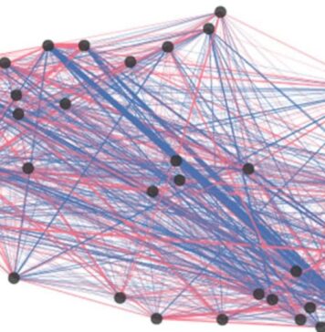 How Mouse Brains Reorganize Old Memories When New Ones Are Laid Down | Nutrition Fit