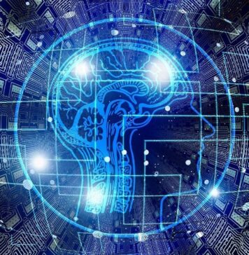Novel Neurofeedback Helps in Treatment of Psychiatric Disorders | Nutrition Fit