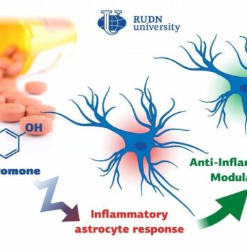 A New Substance to Suppress Neuroinflammation | Nutrition Fit