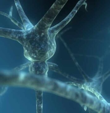 Making Sense of the Mass Data Generated From Firing Neurons | Nutrition Fit