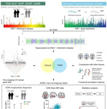 Two New Genes Linked to Alzheimer’s Disease Discovered | Nutrition Fit