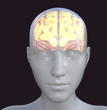 Prostate Drug Associated With Lower Risk of Parkinson’s Disease | Nutrition Fit
